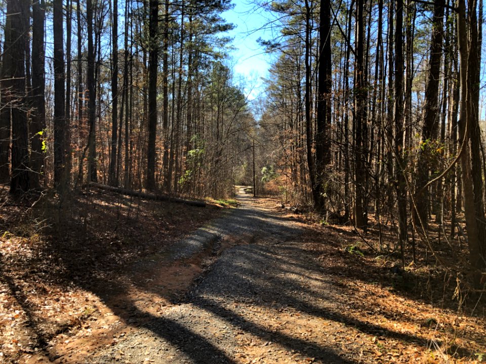 Autrey Mill Nature Preserve Dec 2020 04