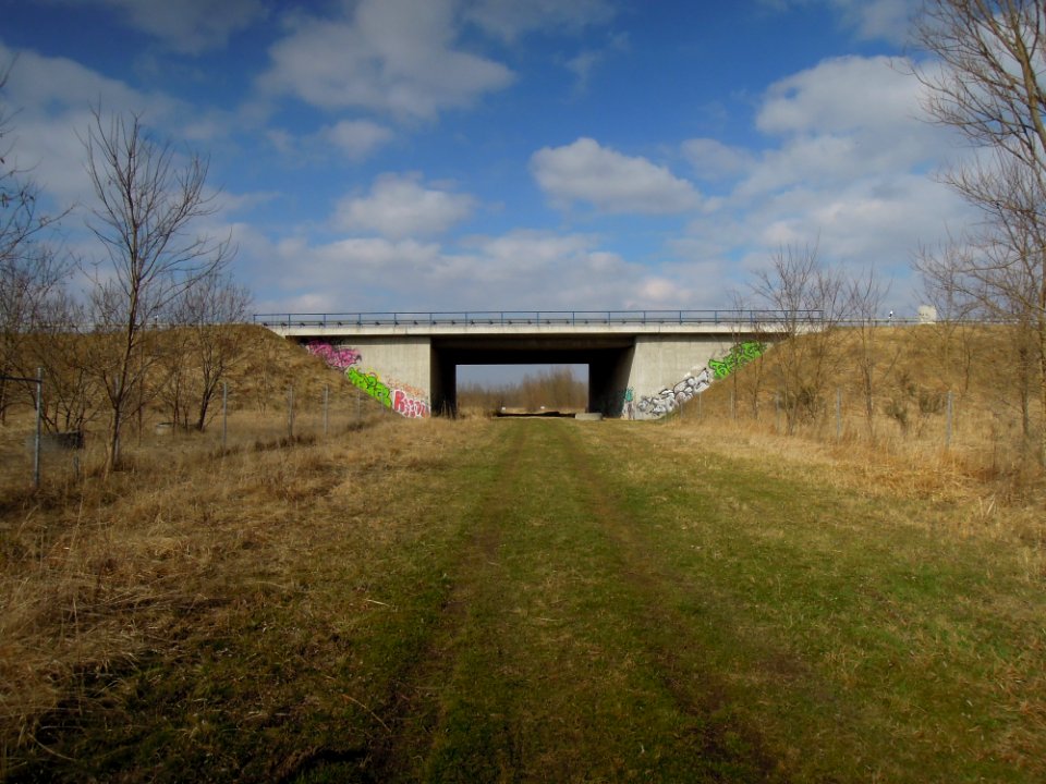 Autobahnbrücke der A 38 zur Sicherung der ökologischen Durchgängigkeit in der Neuen Harth in Gaschwitz -Nahansicht- im März 2018