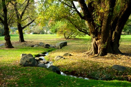 Autumn view - Brooklyn Botanic Garden - Brooklyn, NY - DSC07944