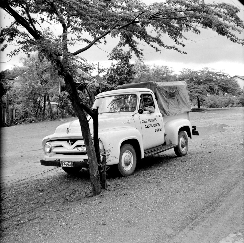 Auto van de gele koorts bestrijdingsdienst, Bestanddeelnr 252-3134