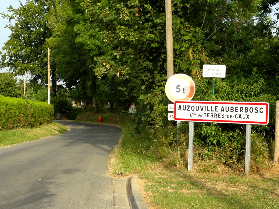 Auzouville-Auberbosc (Seine-Mar.) entrée