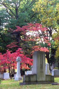 Autumn View, Homewood Cemetery, 2015-10-08, 01