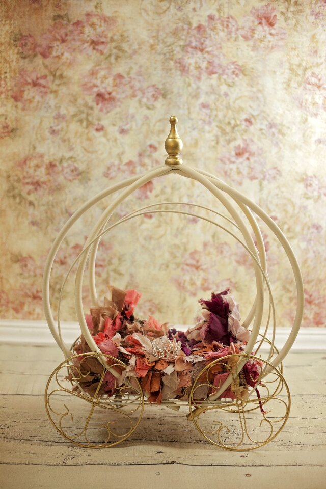 Newborn digital backdrop cinderella