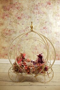 Newborn digital backdrop cinderella
