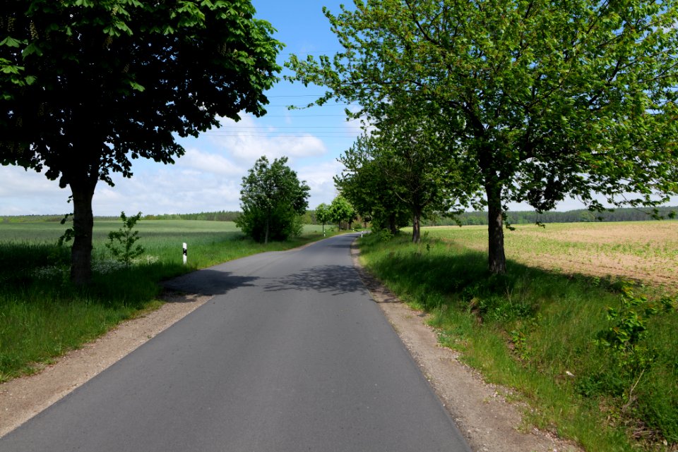 Avenue in Gandenitz 2021-05-29 03