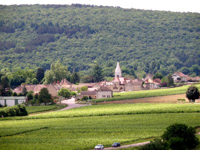 Auxey-Duresses Vue d'ensemble