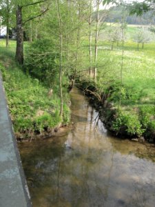 Avenbachmündung in Kottspiel