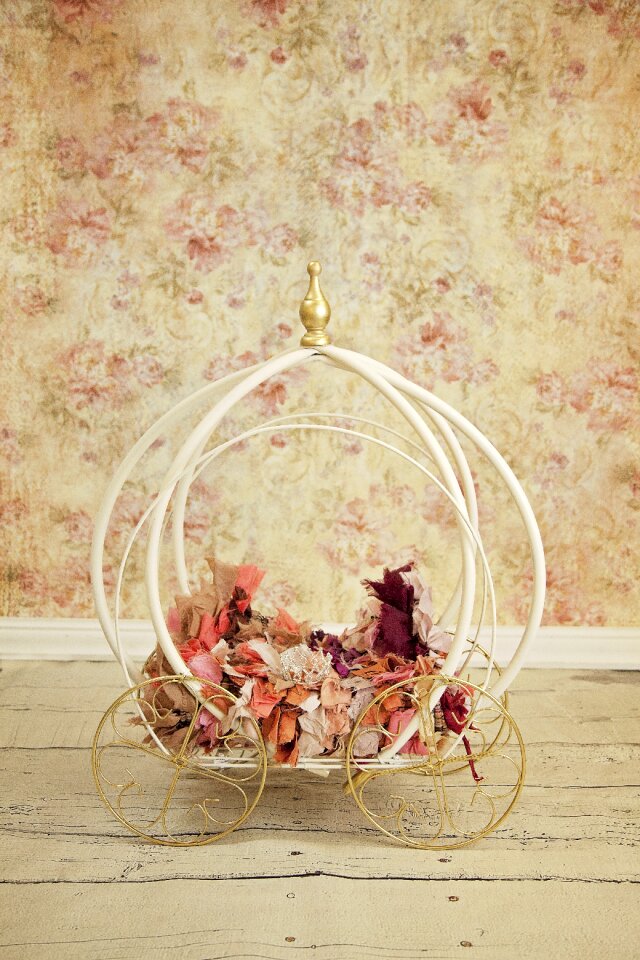 Newborn digital backdrop cinderella