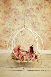 Newborn digital backdrop cinderella