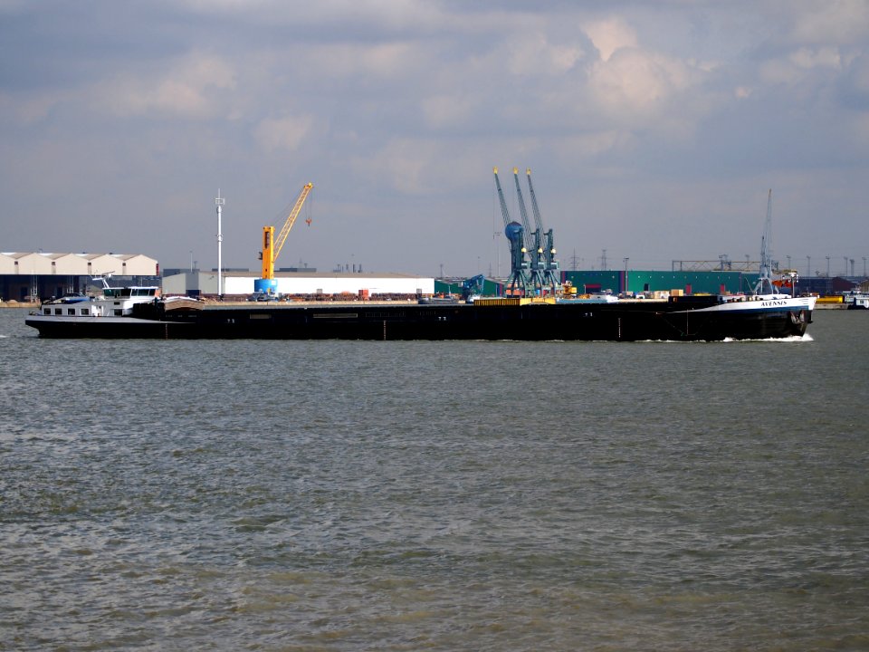 Avensis ENI 02317673 at Port of Antwerp