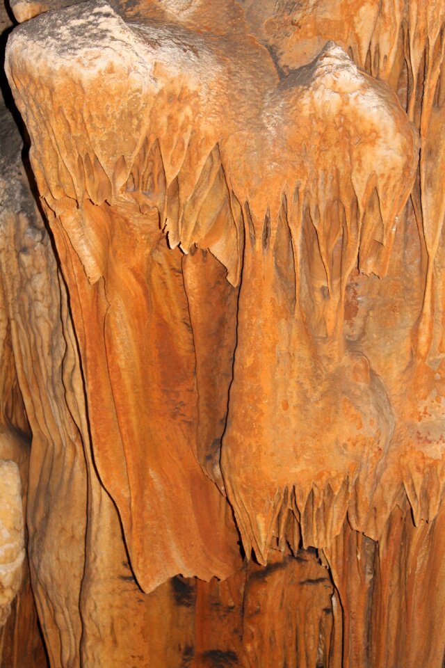 Bridesmaids draped prehistory