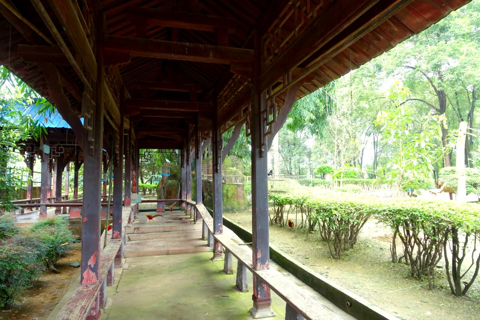 Aviary view - Tazishan Park - Chengdu, China - DSC03131