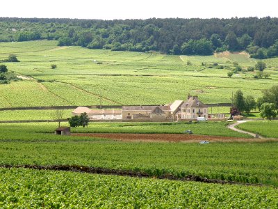 Auxey-Duresses Moulin-aux-Moines 1