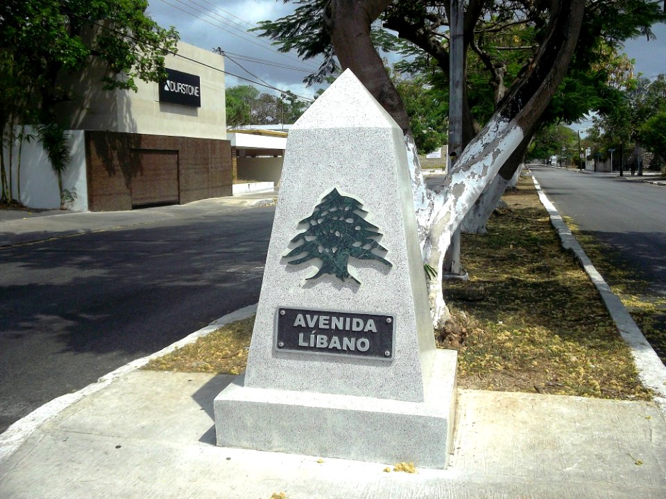 Avenida Líbano, Mérida, Yucatán (01)