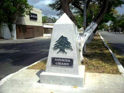 Avenida Líbano, Mérida, Yucatán (01)