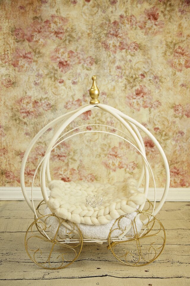 Newborn digital backdrop cinderella
