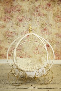 Newborn digital backdrop cinderella