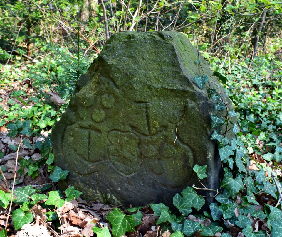 Avenwedde - Grenzstein Nr. 2 - Herrschaft Rheda-Amt Reckenberg - 2