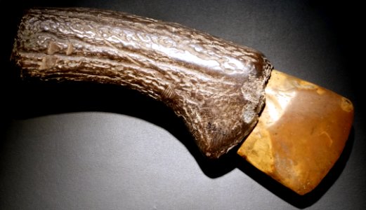 Ax, Betekom, Neolithic, Seine-Oise-Marne civilization, c. 3400-2200 BC, polished stone in deer antler handle - Cinquantenaire Museum - Brussels, Belgium - DSC08702