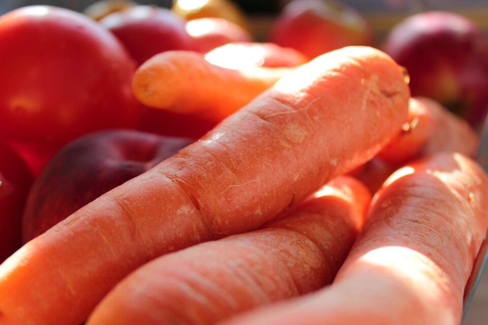 Fresh vegetables organic healthy