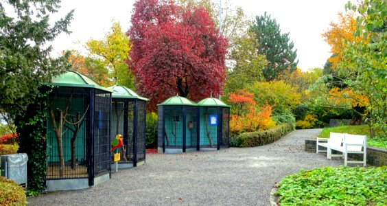 Aviary - Landesgartenschau-Park - Würzburg, Germany - DSC04405