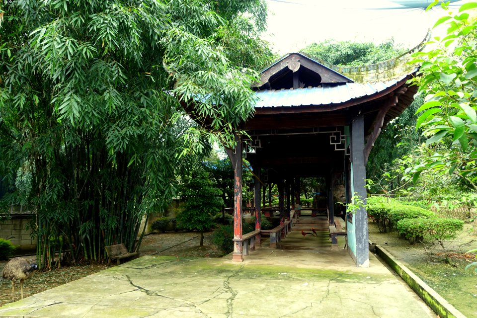 Aviary view - Tazishan Park - Chengdu, China - DSC03125