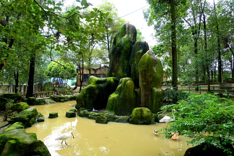 Aviary view - Tazishan Park - Chengdu, China - DSC03065