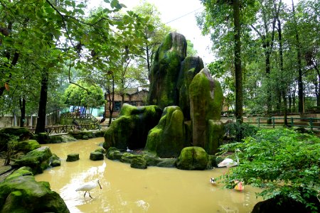Aviary view - Tazishan Park - Chengdu, China - DSC03065
