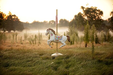 Fair fog field photo