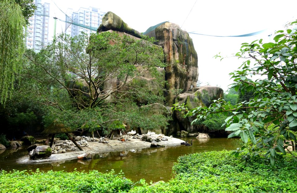 Aviary view - Tazishan Park - Chengdu, China - DSC03053