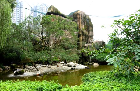 Aviary view - Tazishan Park - Chengdu, China - DSC03053