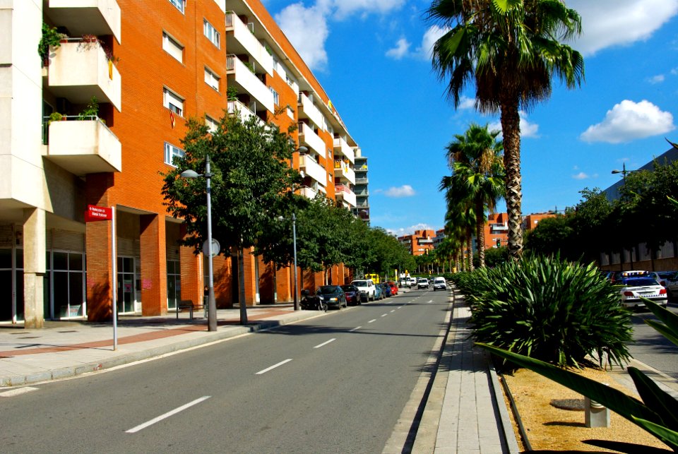 Avinguda de Marià Fortuny