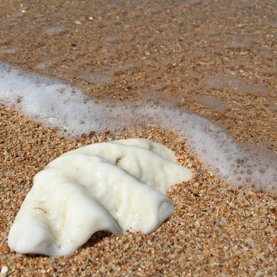 Sand sea summer