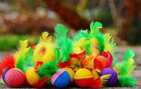 Toys cat play