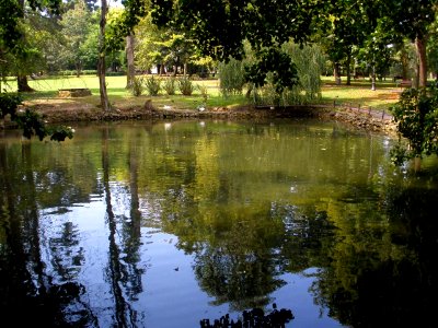 Aviles - Parque de Ferrera 2