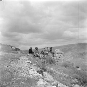 Arabische vrouwen en meisjes op de helling van de Taborberg in Galilea, Bestanddeelnr 255-0913