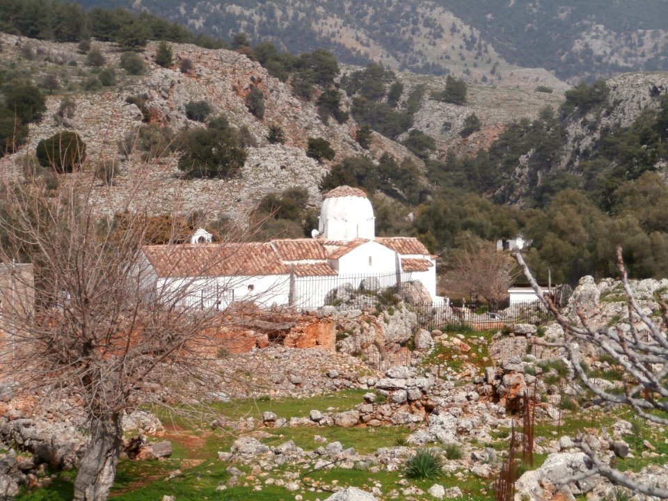 Aradaina, Michail 2220212