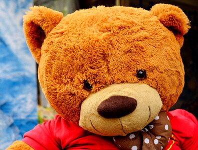 Soft toy toys portrait