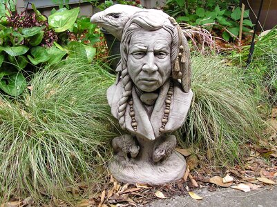 Decoration plants garden