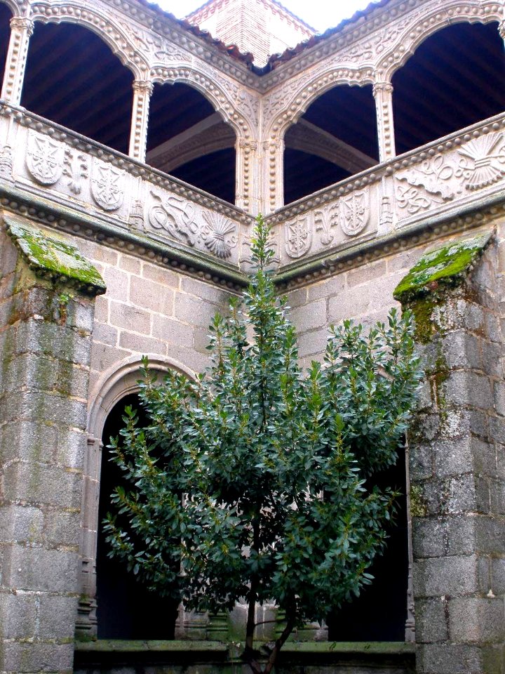 Avila - Real Monasterio de Santo Tomas, Claustro del Silencio 12