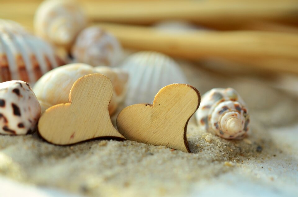 Mussels beach symbol