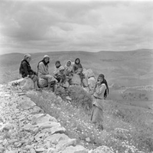 Arabische vrouwen en meisjes op de helling van de Taborberg in Galilea, Bestanddeelnr 255-0912