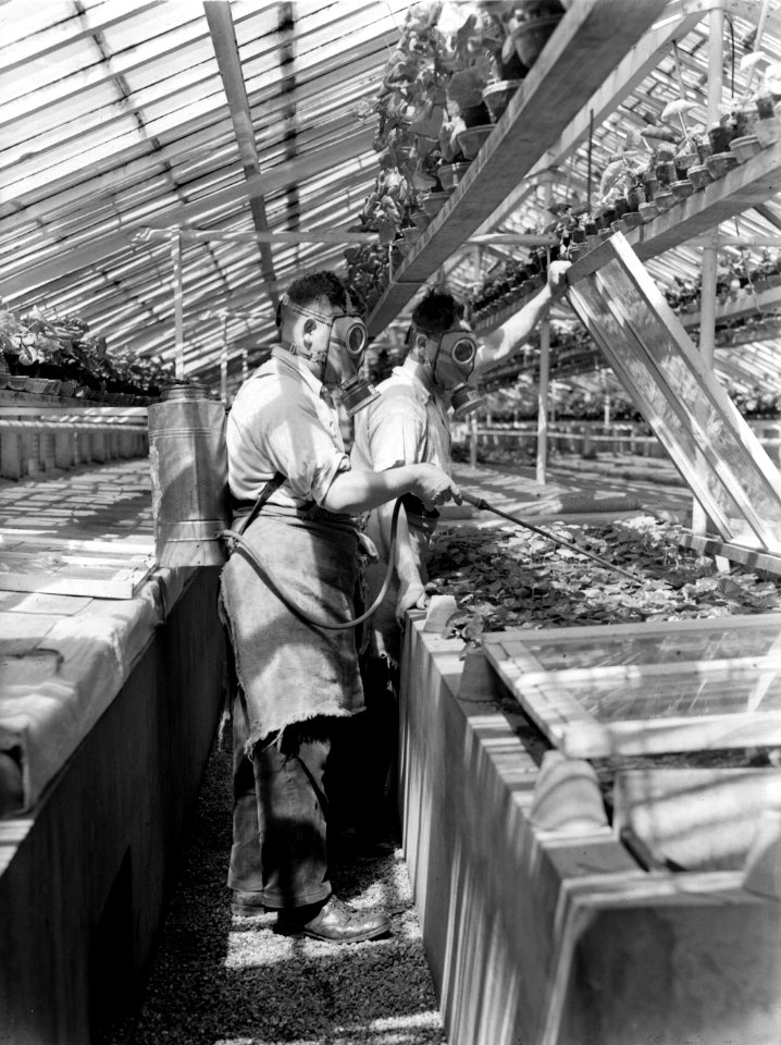 Arbeiders aan het werk met het besproeien van planten in de kas van de fa. Baard, Bestanddeelnr 190-0673