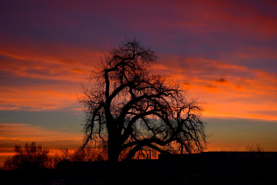 Scene sunrise sky photo