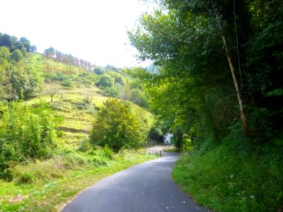 Arama 20
