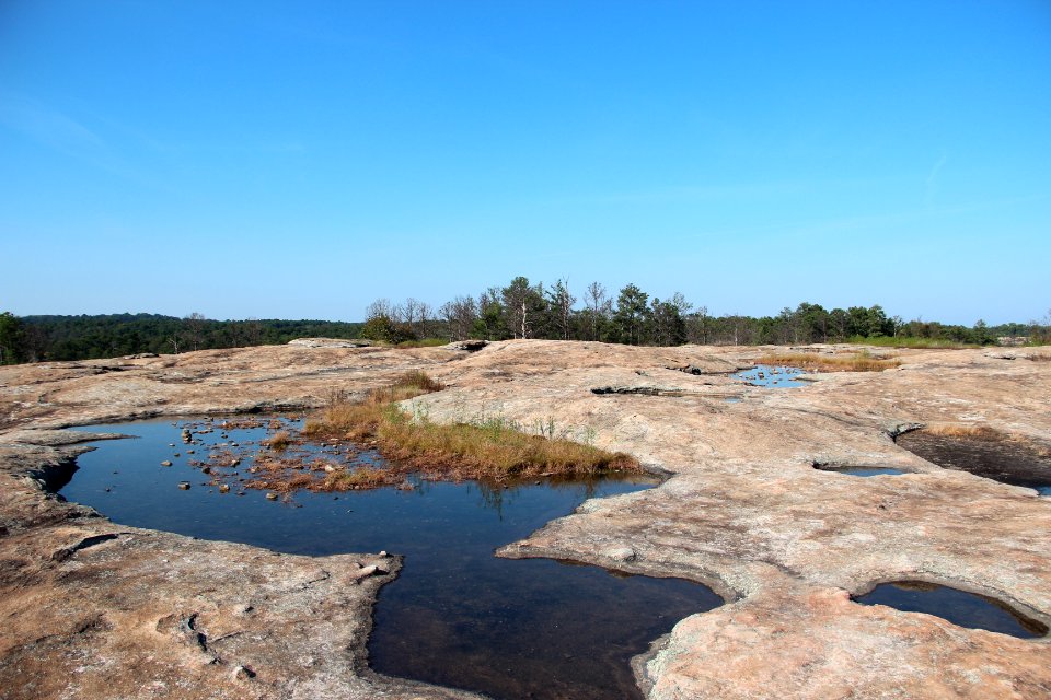 Arabia Mountain ponds, Sept 2017