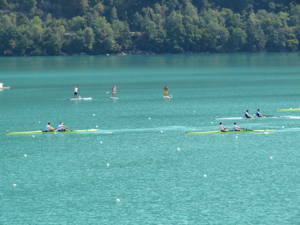 Aviron 2015 - World Championships - 46