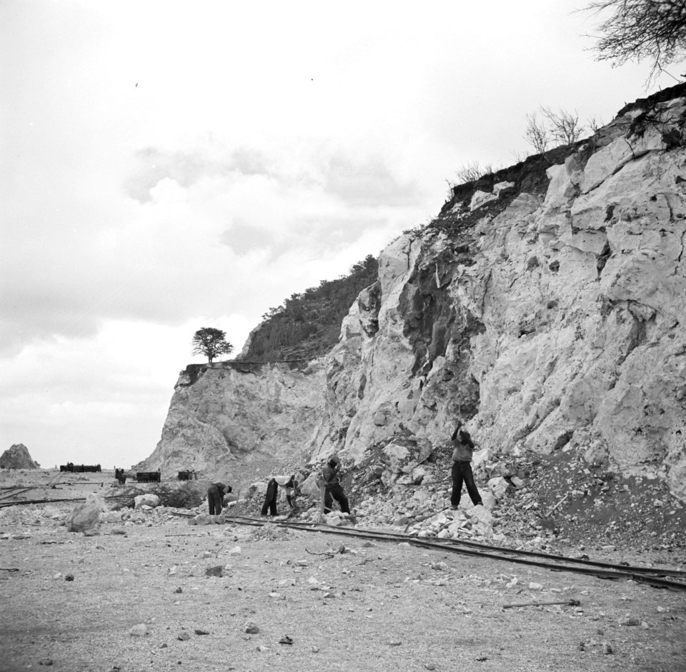 Arbeiders aan het werk bij de fosfaatmijn van het bedrijf Curaçao bij de Tafelbe, Bestanddeelnr 252-7411