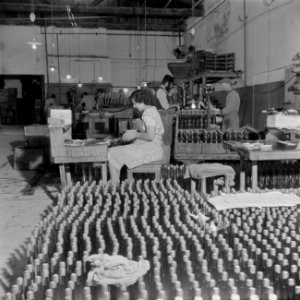 Arbeiders bezig met het etiketteren van wijnflessen in de Rothschild wijnkelders, Bestanddeelnr 255-1608