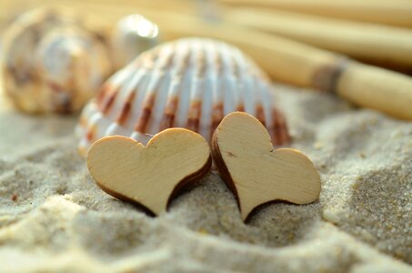 Mussels beach symbol photo